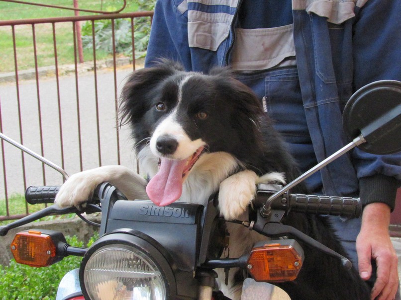 Jukky chce zkusit motorku
